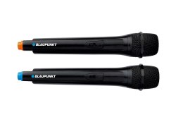 Blaupunkt SYSTEM AUDIO PB12DB