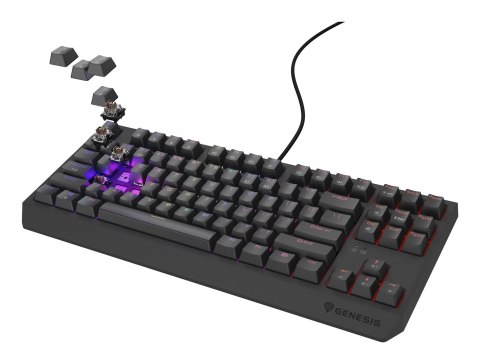 GENESIS GENESIS Thor 230 TKL klawiatura Gaming USB QWERTY US English Czarny