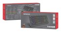 GENESIS GENESIS Thor 230 TKL klawiatura Gaming USB QWERTY US English Czarny