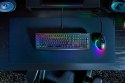 RAZER Razer BlackWidow V4 X klawiatura Gaming USB QWERTY Skandynawia Czarny