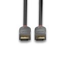 LINDY Lindy 36486 kabel DisplayPort 10 m Czarny