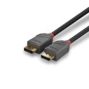 LINDY Lindy 36486 kabel DisplayPort 10 m Czarny