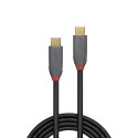 LINDY Lindy 36901 kabel USB 1 m USB C Czarny, Szary