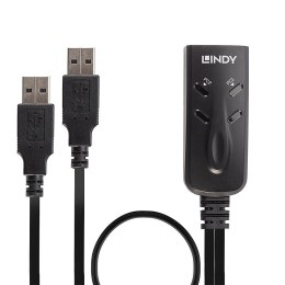 LINDY NET SWITCH KVM USB 2PORT/32165 LINDY