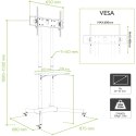 TECHly TECHLY STOJAK MOBILNY TV LED/LCD 30-65 CALI 60KG 1