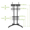 TECHly TECHLY STOJAK MOBILNY TV LED/LCD 30-65 CALI 60KG 1