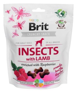 Brit Brit Care Dog Insects&Lamb - Przysmak dla psa - 200 g