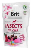 Brit Brit Care Dog Insects&Lamb - Przysmak dla psa - 200 g