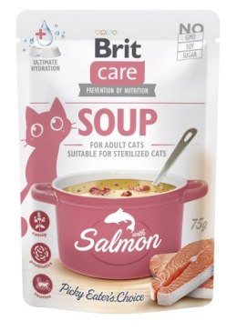 Brit Brit Care Soup with salmon 75g cat