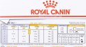 Royal Canin ROYAL CANIN Urinary Moderate Calorie - saszetka 12x85g
