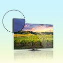 THOMSON TV SET LCD 55" QLED 4K/55QG5C14 THOMSON