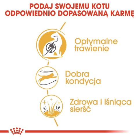 Royal Canin ROYAL CANIN Bengal Adult - sucha karma dla dorosłego kota - 10 kg