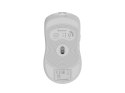 GENESIS GENESIS Zircon 500 myszka Gaming Po prawej stronie RF Wireless + Bluetooth + USB Type-C Optyczny 10000 DPI