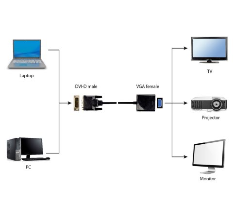 Adapter GEMBIRD A-DVID-VGAF-01 (DVI-D M - D-Sub (VGA) F; 0,20m; kolor czarny)