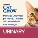 PURINA NESTLE PURINA CAT CHOW Special Care Urinary Tract Health 15kg