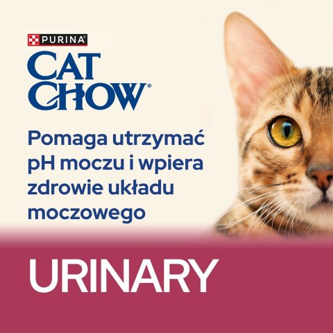 PURINA NESTLE PURINA CAT CHOW Special Care Urinary Tract Health - sucha karma dla kota - 1,5 kg