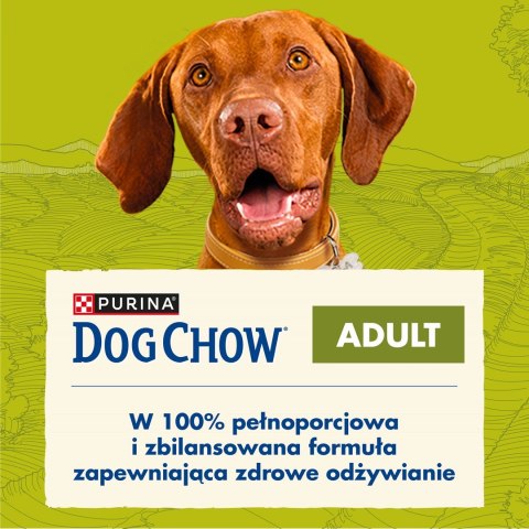 PURINA NESTLE PURINA DOG CHOW Adult Jagnięcina - sucha karma dla psa - 14 kg