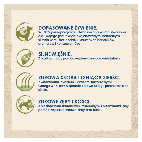 PURINA NESTLE PURINA DOG CHOW Adult Jagnięcina - sucha karma dla psa - 14 kg