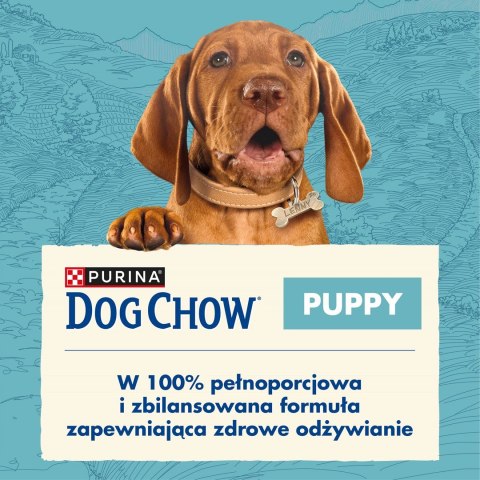 PURINA NESTLE PURINA DOG CHOW Puppy Lamb - sucha karma dla szczeniąt wszystkich ras - 14 kg