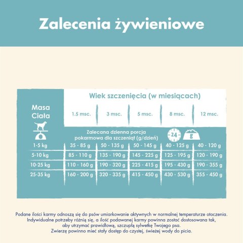 PURINA NESTLE PURINA DOG CHOW Puppy Lamb - sucha karma dla szczeniąt wszystkich ras - 14 kg