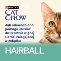 PURINA NESTLE Purina Cat Chow Hairball z kurczakiem i zieloną fasolką w sosie - mokra karma dla kota - 85 g