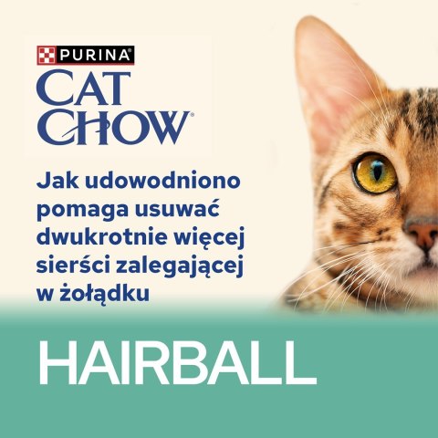PURINA NESTLE Purina Cat Chow Hairball z kurczakiem i zieloną fasolką w sosie - mokra karma dla kota - 85 g