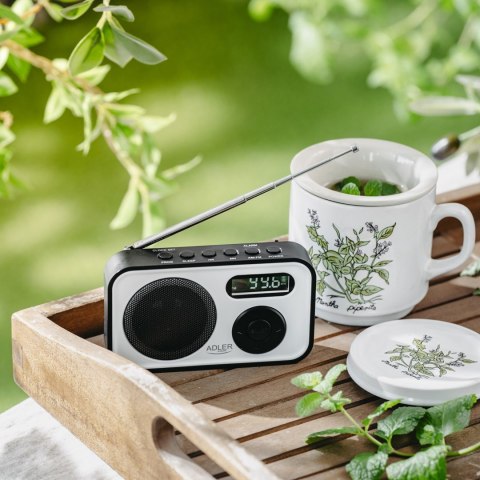 Adler Radio ADLER AD 1906