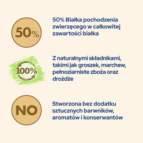 PURINA NESTLE PURINA CAT CHOW Kitten Chicken - sucha karma dla kociąt - 1,5 kg