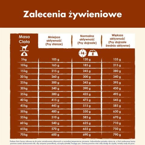 PURINA NESTLE PURINA Dog Chow Mature Senior z jagnięciną - sucha karma dla psa - 14 kg