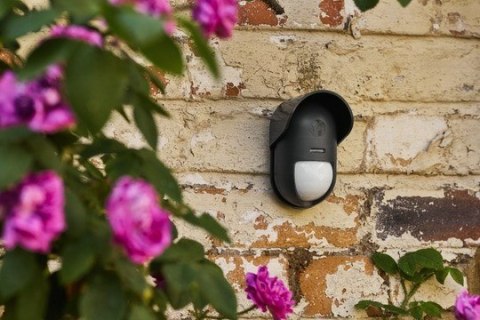 Yale Yale Zewnętrzny czujnik ruchu - Przyjazny zwierzętom