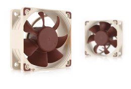 Noctua Wentylator NOCTUA 60mm NF-A6x25 PWM