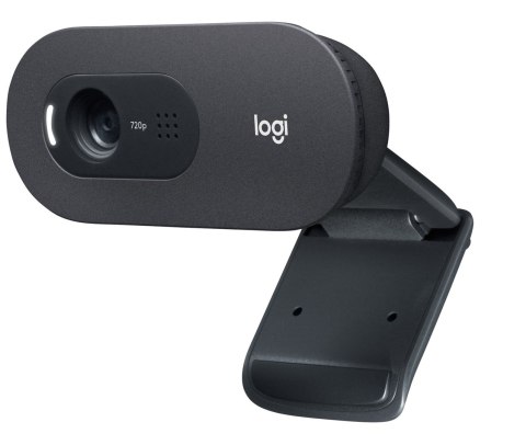 Logitech Kamera LOGITECH C505E HD Webcam Black