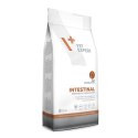 VetExpert VetExpert Veterinary Diet Intestinal cat 2kg