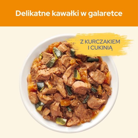 PURINA NESTLE PURINA Cat Chow Kurczak, cukinia - mokra karma dla kota - 10x85 g