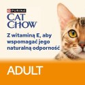PURINA NESTLE PURINA Cat Chow Kurczak, cukinia - mokra karma dla kota - 10x85 g