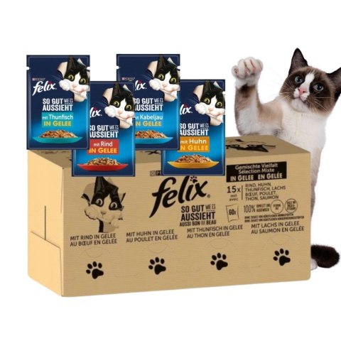 PURINA NESTLE PURINA Felix MIX Smaków - mokra karma dla kota - 120x85 g