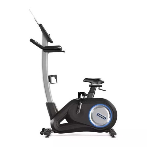 Horizon Fitness Rower treningowy pionowy HORIZON FITNESS Paros 3.0