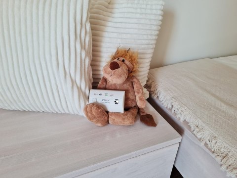 Kidde Czujnik dymu i tlenku węgla K10LLCO KIDDE