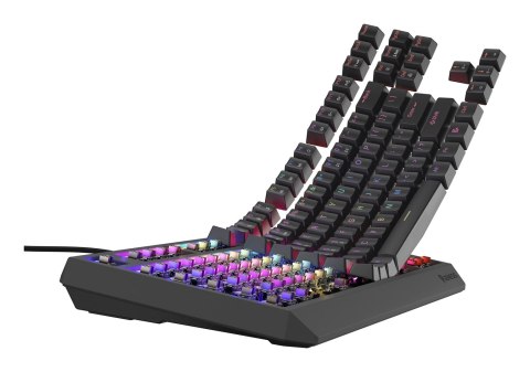 GENESIS GENESIS Thor 230 TKL klawiatura Gaming USB QWERTY US English Czarny