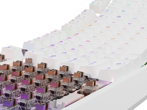 GENESIS GENESIS Thor 230 TKL klawiatura Gaming USB + RF Wireless + Bluetooth QWERTY Biały