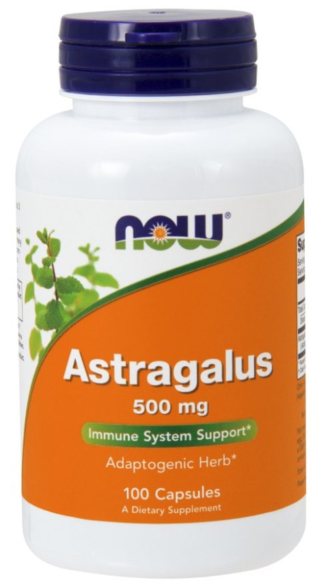 NOW FOODS Astragalus 500mg, 100caps. - Traganek