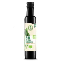Sok z czosnku niedźwiedziego BIO 250ml DARY NATURY