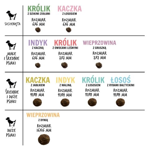 Paka Zwierzaka Seventh Heaven Łosoś z rybami bałtyckimi ''M'' 1,5kg