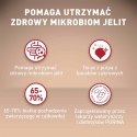 PURINA One Mini Adult Wołowina, ryż - sucha karma dla psa - 800 g