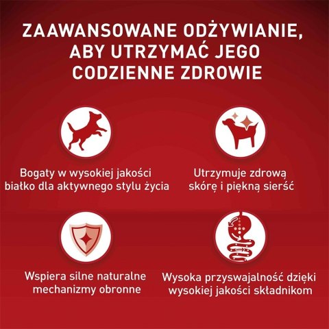 PURINA One Mini/Small Sensitive Łosoś, ryż - sucha karma dla psa - 800 g