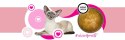 3Coty TURKEY Cheers! Complementary feed for cats 75g
