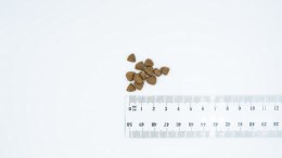 BULT Karma sucha z kaczką i indykiem szczeniąta 3kg