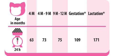 PREVITAL PREVITAL kurczak karma sucha karma kocięta 0,95kg