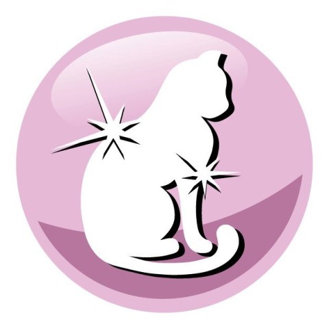 PREVITAL PREVITAL łosoś senior karma sucha dla kotów 1,4kg