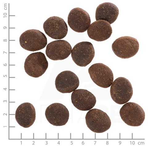 WOLFSBLUT Polar Night Adult reindeer/pumpkin 12,5kg